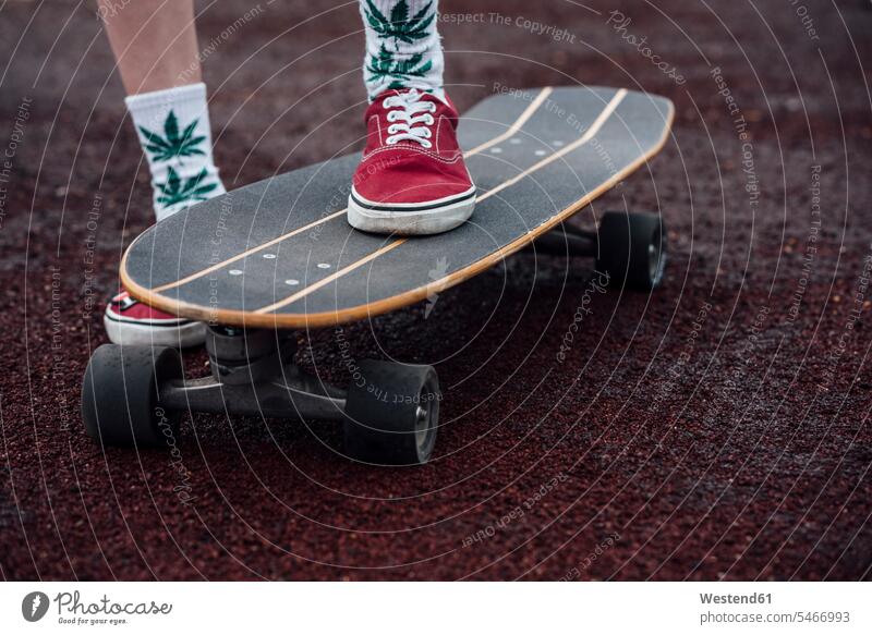 Frauenbeine in Socken und Turnschuhen stehend auf Carver-Skateboard Rollbretter Skateboards steht Bein Beine Sneakers weiblich Strumpf Strümpfe Struempfe Mensch