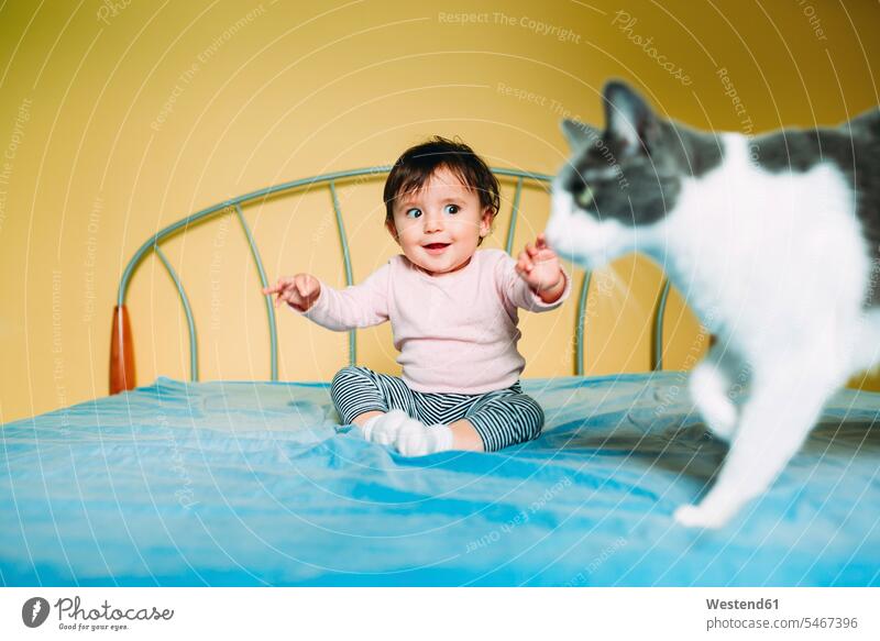 Überraschtes kleines Mädchen mit Katze auf dem Bett überrascht erstaunt verwundert verblüfft Überraschung überraschen Betten Katzen Baby Babies Babys Säuglinge