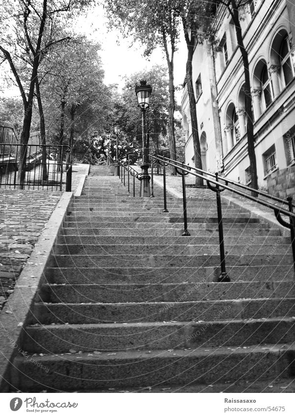 Neverending Steps steil Lampe Straßenbeleuchtung antik Baum Herbst Paris Stadtteil Sacré-Coeur Blatt Haus Einsamkeit Außenaufnahme Treppe alt herbstlich
