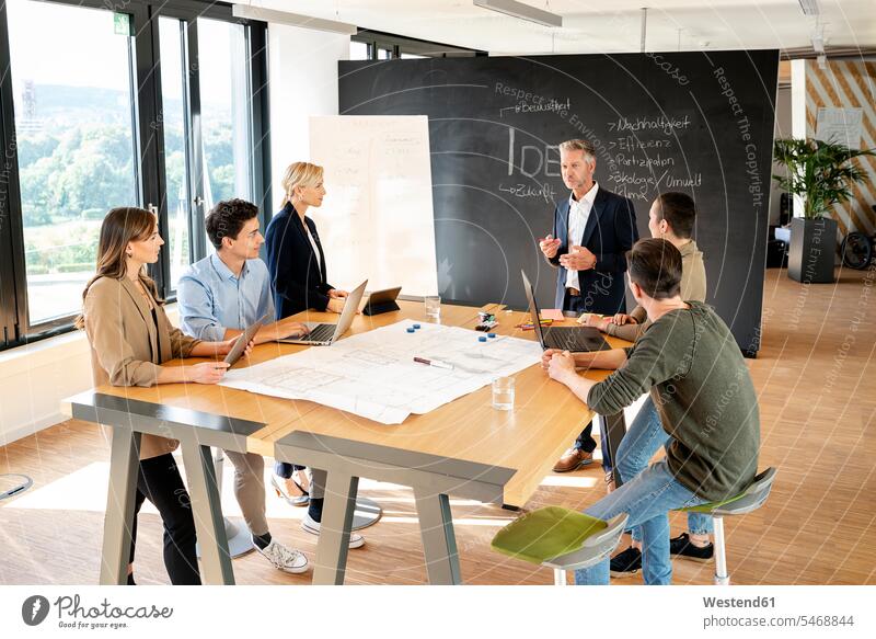 Geschäftsleute, die einen Workshop im Büro haben und Pläne besprechen Leute Menschen People Person Personen Europäisch Kaukasier kaukasisch Gruppe von Menschen