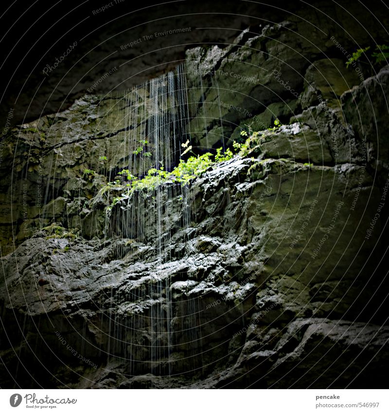 douche naturelle Natur Landschaft Pflanze Urelemente Regen Wald Felsen Alpen Schlucht Wasserfall Stein Zeichen authentisch bedrohlich schön einzigartig nackt