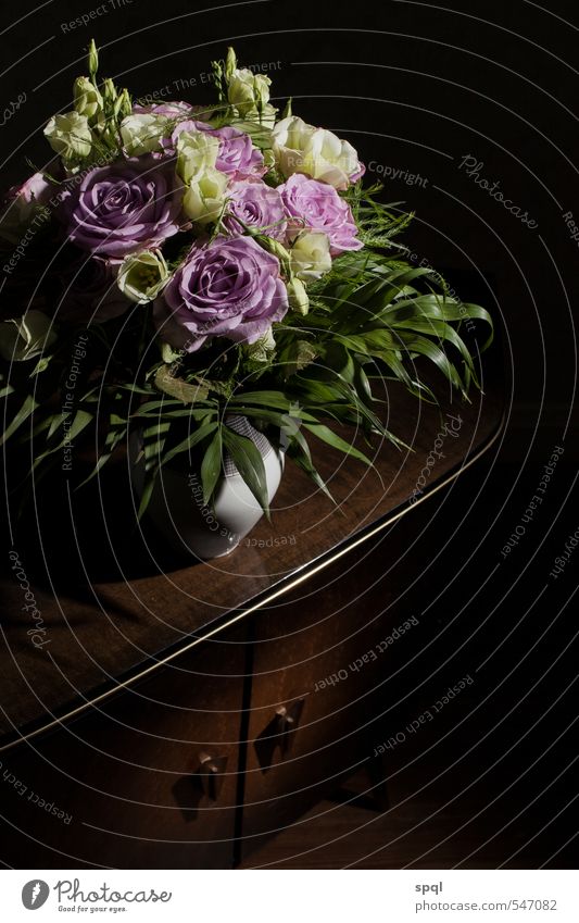 Blumenstrauß auf alter Kommode Holz ästhetisch dunkel glänzend retro braun schwarz Romantik schön ruhig Kunst Mode Stil Traurigkeit Zeit Schrank Hochformat