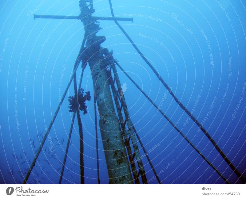 Mast tauchen Wasserfahrzeug Ägypten Unterwasseraufnahme Schiffswrack Rotes Meer blau Seil diving Sonnenuntergang