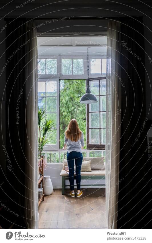 Rückansicht einer jungen Frau zu Hause, die aus dem Fenster schaut Leute Menschen People Person Personen Alleinstehende Alleinstehender Singles Unverheiratete