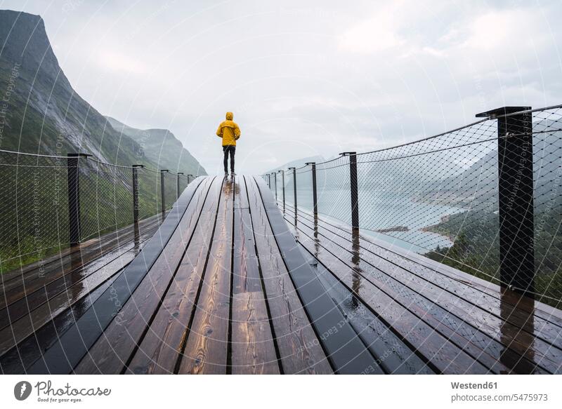 Norwegen, Insel Senja, Rückansicht eines Mannes, der auf einer Aussichtsplattform an der Küste steht Kueste Kuesten Küsten Männer männlich stehen stehend