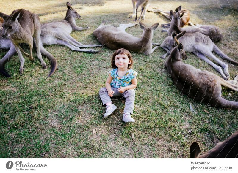 Australien, Brisbane, Porträt eines lächelnden kleinen Mädchens, das auf einer Wiese zwischen zahmen Kängurus sitzt dazwischen Kaenguruh Kaenguruhs Macropodidae
