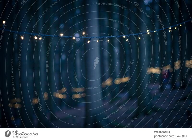 Deutschland, Bayern, Sankt Englmar, Lichterketten im Wald beleuchtet Beleuchtung Außenaufnahme außen draußen im Freien Dekoration dekorieren Dekorationen