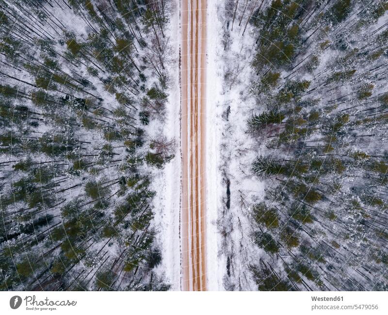 Russland, Gebiet Leningrad, Luftaufnahme einer Straße, die im Winter durch den Wald führt Oblast Leningrad Russische Föderation Außenaufnahme außen draußen