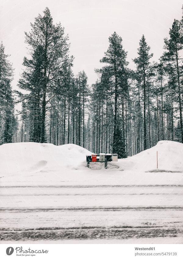 Finnland, Lappland, starker Schneefall und Briefkästen am Straßenrand Stimmung stimmungsvoll schneien kalt Kälte bewölkt Bewölkung Wolke bedeckt Wolken