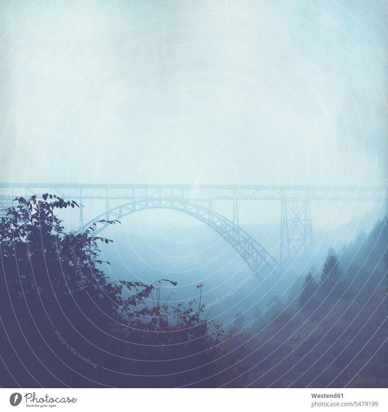 Brücke und Nebel im Herbst Stimmung stimmungsvoll Textfreiraum digital bearbeitet digitale Bearbeitung digital manipuliert digitale Veränderung