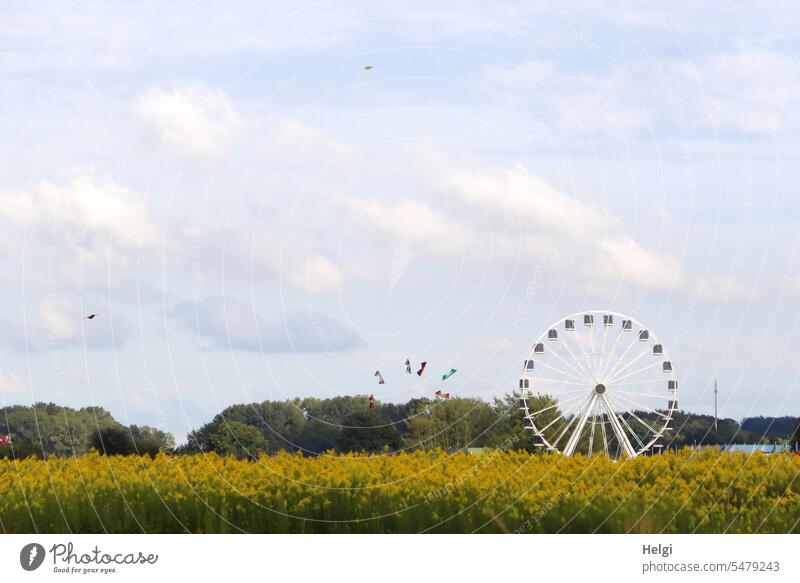 Riesenrad und fliegende Lenkdrachen hinter einem Blühfeld vor blauem Himmel mit Wolken Drachen Drachenfest Feld Baum Strauch Natur Wind Freizeit & Hobby