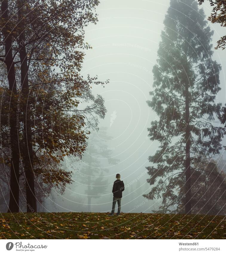 Deutschland, Nordrhein-Westfalen, Wuppertal, Mann im nebligen Herbstwald stehend Außenaufnahme außen draußen im Freien Tag Tageslichtaufnahme