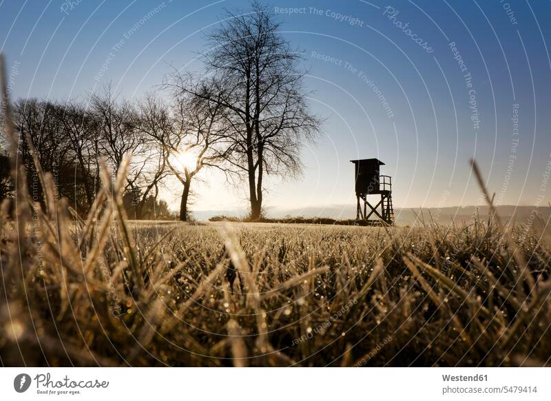 Deutschland, Nordrhein-Westfalen, Bergisches Land, Ansitz bei Morgennebel und Morgentau an Grashalmen morgens Frühe früh Textfreiraum Hochsitz Hochsitze