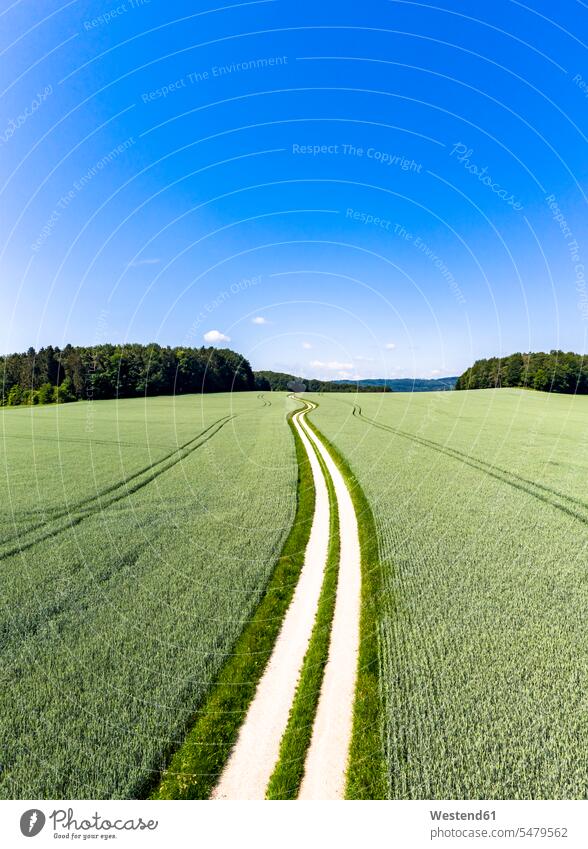 Luftaufnahme einer unbefestigten Straße, die durch ein grünes Weizenfeld im Sommer führt Außenaufnahme außen draußen im Freien Tag Tageslichtaufnahme