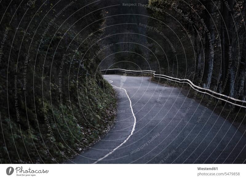 Leere Asphaltstraße im Wald Außenaufnahme außen draußen im Freien Tag Tageslichtaufnahme Tageslichtaufnahmen Tagesaufnahme am Tag Tagesaufnahmen tagsüber