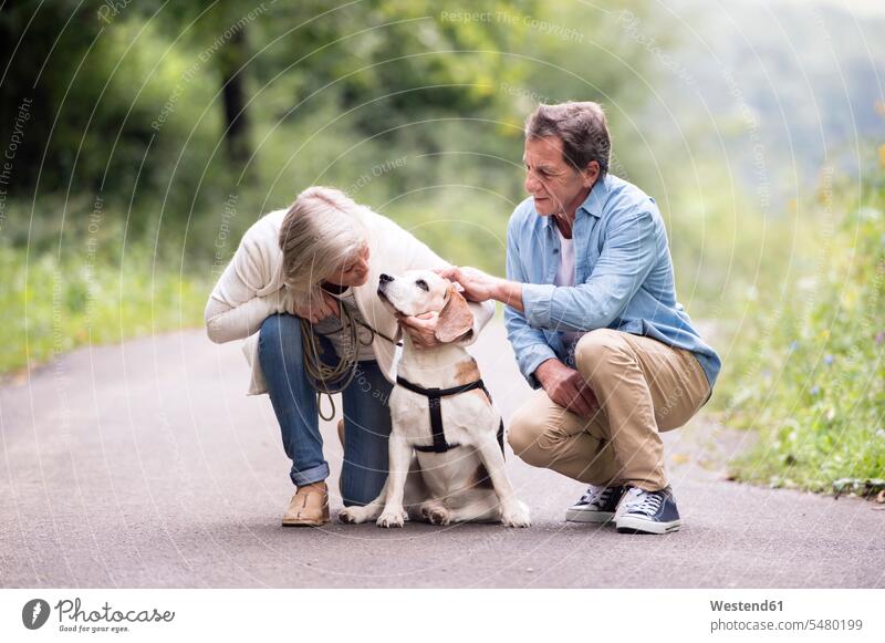 Älteres Ehepaar mit Hund in der Natur Paar Pärchen Paare Partnerschaft Hunde Mensch Menschen Leute People Personen Haustier Haustiere Tier Tierwelt Tiere Senior