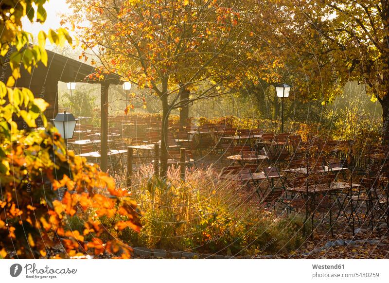 Deutschland, Bayern, Tutzing, Biergarten Forsthaus Ilkahoehe, Herbstmorgen Stimmung stimmungsvoll Abwesenheit menschenleer abwesend leere Fünfseenland