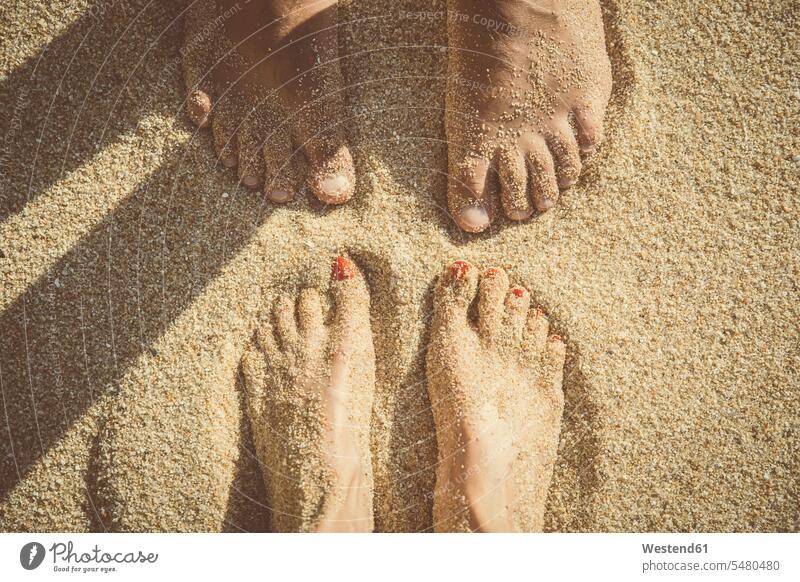 Füße eines im Sand stehenden Paares von oben gesehen Pärchen Partnerschaft sandig Fuß Fuss Mensch Menschen Leute People Personen Frau weiblich Frauen Strand