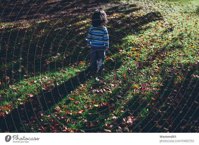 Junge steht allein auf der Wiese mit Herbstlaub Melancholie Schwermut melancholisch wehmütig Wehmut schwermütig Freizeitkleidung casual Freizeitbekleidung Natur