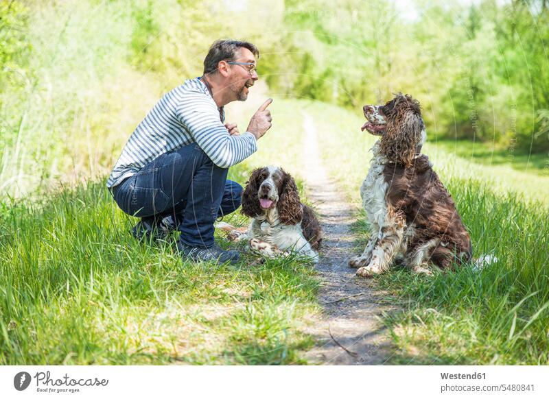 Mensch trainiert Hunde unterrichten Mann Haustier Tier Erwachsener Natur Seitenansicht Training brav hocken Zwei Tiere Blick nach unten lernen Kommunikation