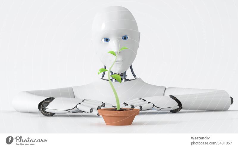 Roboter beobachtet Grünpflanze, die im Pflanztopf wächst Idee Ideen Eingebung Textfreiraum Topfpflanze Topfpflanzen Industrieroboter Entwicklung entwickeln