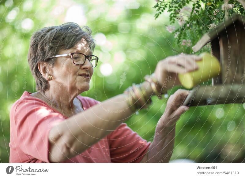 Ältere Dame gibt Vogelfutter ins Vogelfutter Europäer Kaukasier Europäisch kaukasisch differenzierter Fokus Tierfutter Futter Tiernahrung Fürsorge kümmern