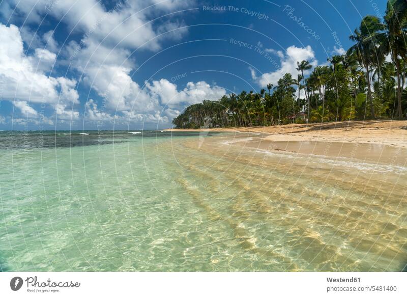 Dominikanische Republik, Halbinsel Samana, Strand von Las Terrenas Natur Reiseziel Reiseziele Urlaubsziel Traumurlaub Tag am Tag Tageslichtaufnahme tagsueber