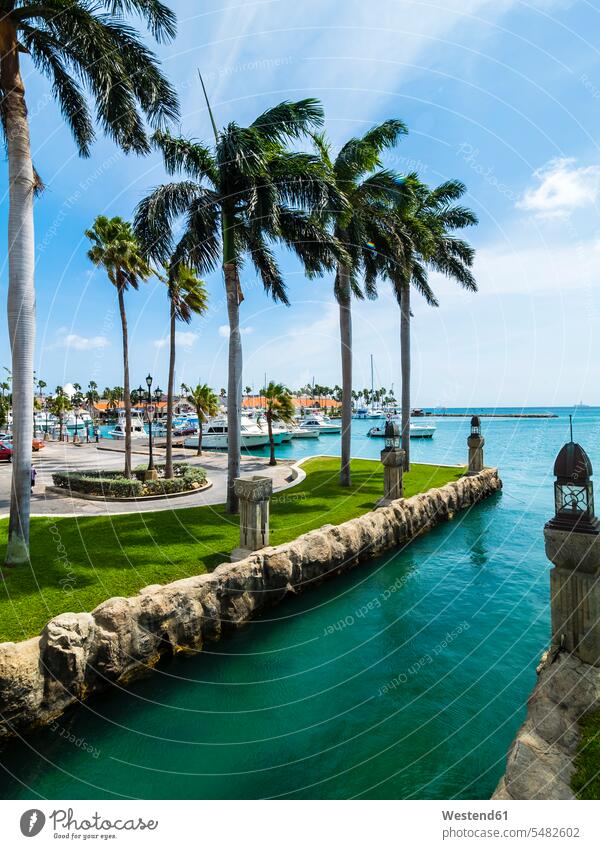 Aruba, Oranjestad, Blick auf den Yachthafen Wolke Wolken Palme Palmen Tag am Tag Tageslichtaufnahme tagsueber Tagesaufnahmen Tageslichtaufnahmen tagsüber