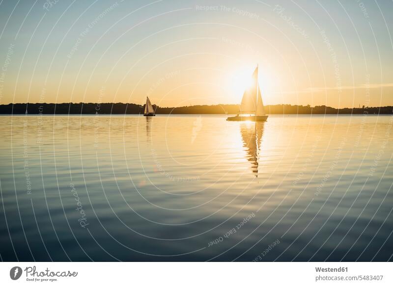 Segelboot auf dem Cospudener See bei Sonnenuntergang Textfreiraum Schönheit der Natur Schoenheit der Natur Niemand Reise Travel Wasserspiegelung