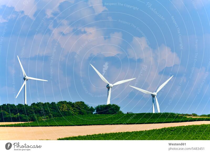 Deutschland, Rheinland-Pfalz, Windkraftanlagen und Felder Energiegewinnung Treibstoff-und Energiegewinnung Energieerzeugung Stromerzeugung Natur Himmel Baum