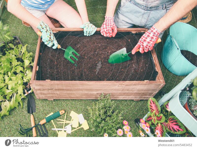 Ehepaar bereitet Erde vor, um Gemüse in den Container ihres Stadtgartens zu pflanzen Garten Gärten Gaerten einpflanzen anpflanzen Paar Pärchen Paare