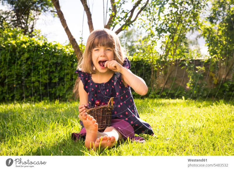 Kleines Mädchen mit Kirschkörbchen auf einer Wiese im Garten sitzend essen essend weiblich Kirsche Kirschen Kind Kinder Kids Mensch Menschen Leute People