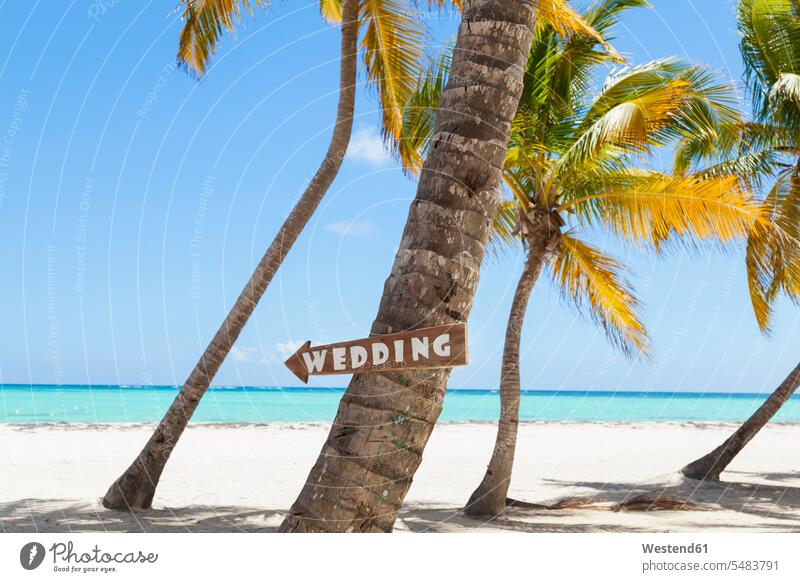 Dominikanische Republik, Tropenstrand mit Palmen und Hochzeitsschild heiraten Heirat Hochzeiten Strand Beach Straende Strände Beaches Baum Bäume Baeume Feier