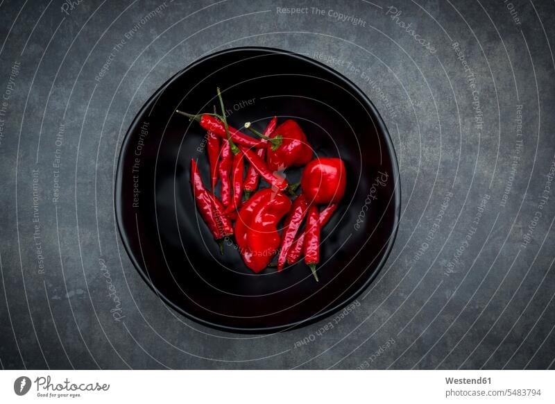 Schwarze Schale mit verschiedenen roten Chili-Schoten Food and Drink Lebensmittel Essen und Trinken Nahrungsmittel Peperoni Peperonis scharfe Paprikas Chilis