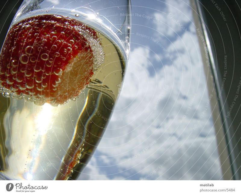 erdbeere im Sektglas Fototechnik Erdbeeren Glas Surrealismus Sonne Lichterscheinung