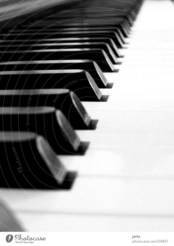 ...ganz Piano Klavier Musikinstrument Medien Freude berühren Musiknoten Schwarzweißfoto jarts