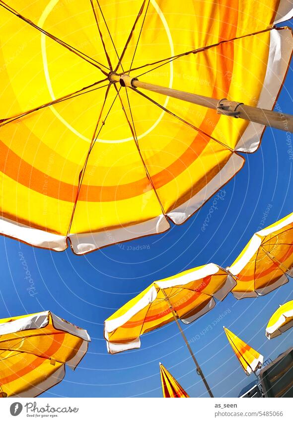 Gelbe Sonnenschirme Urlaub Sommer Ferien & Urlaub & Reisen Himmel Sommerurlaub Erholung Strand Tourismus Meer Schönes Wetter Sonnenbad Sonnenlicht blau