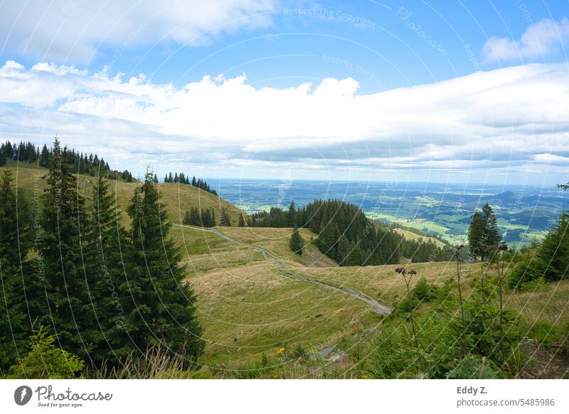 Alpenpanorama Blick vom Richtung Edelsberg 1630m. Grüne Wälder. Das Allgäu im Hintergrund. Berge u. Gebirge Natur Landschaft wandern Felsen Gipfel Außenaufnahme