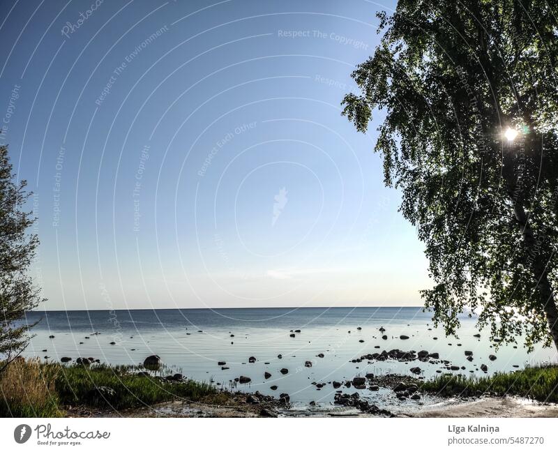 Ostsee Hintergrund, ruhiges blaues Meer mit blauem Himmel und Baum MEER Wellen Nordsee Strand Natur Pazifik Wasser Sommer Tourismus Küste Urlaub Sommerurlaub