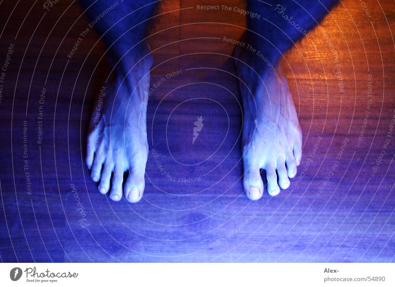 Blue foot stehen Zehen Barfuß Gefäße Licht Holz Parkett Fuß Beine laufen oben Bodenbelag