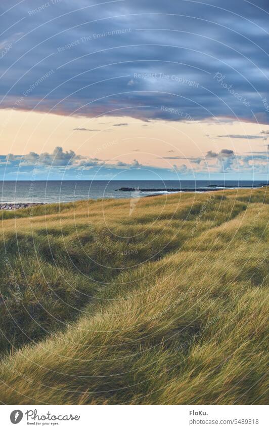 Endloses Dünengras an dänischer Küste Dänemark Nordsee Strand Meer Ferien & Urlaub & Reisen Himmel Sand Natur Nordseeküste Wolken Landschaft Tourismus Erholung