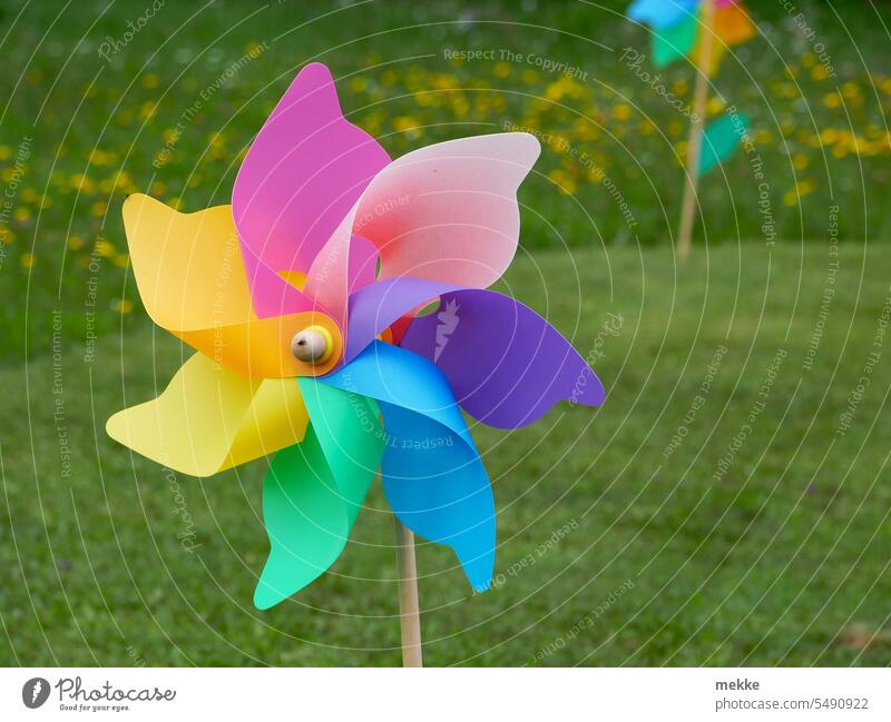Flaute im Regenbogenland Flügel Windmühle Windrad Wiese Regenbogenfarben Toleranz Spielzeug Gleichheit Vielfalt Rotation Garten Gleichstellung Homosexualität