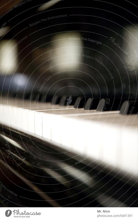 Klavier Musik Freizeit & Hobby Klaviatur Musikinstrument Tasteninstrumente schwarz musizieren klassisch Klang Klavier spielen Entertainment weiß Konzert Klassik