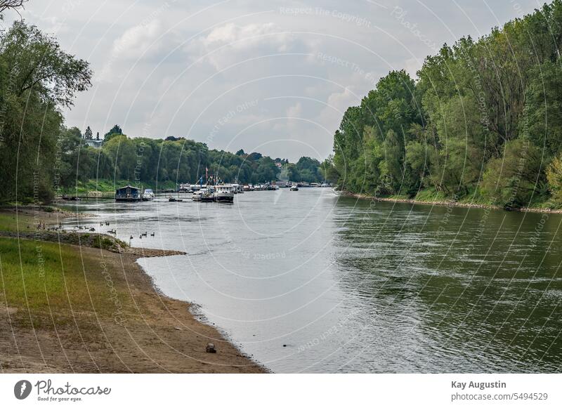 Bootshafen am Rhein Hersel Bornheim Rheinland Nordrhein-Westfalen Tourismus Rheinlandschaft Natur Naturschutz Naturerlebnis Naturschutzgebiet Bootsfahrt