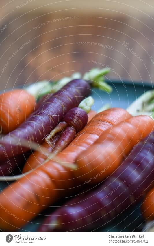 Knackige Möhren, ganz frisch aus dem Hochbeet Karotten gelbe Rüben Mohrrüben Gemüse Lebensmittel Gesunde Ernährung Vegetarische Ernährung Bioprodukte