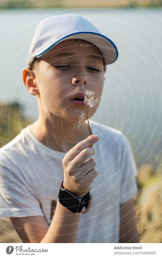 Teenager-Junge in Freizeitkleidung bläst Löwenzahnblatt gegen unscharfe Seeufer anhaben lässig Bekleidung Verschlussdeckel Kopfbedeckung Ufer Wasser Unschärfe