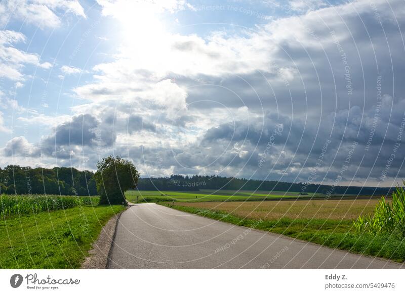 Verträumte Schwäbische Weiten: Sonnenstrahlen über grüner Landwirtschaftslandschaft. Eine Straße führt in die Natur. Baden-Württemberg Landschaft Außenaufnahme