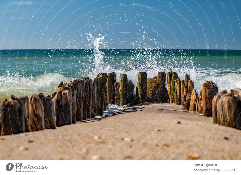 Brandungswellen Nordsee Dünung Wellengang Nordseeküste Vogel Wellenschlag Fotografie Strand Sonne Meer Neukiefervögel Neognathae Holzstruktur Maserung