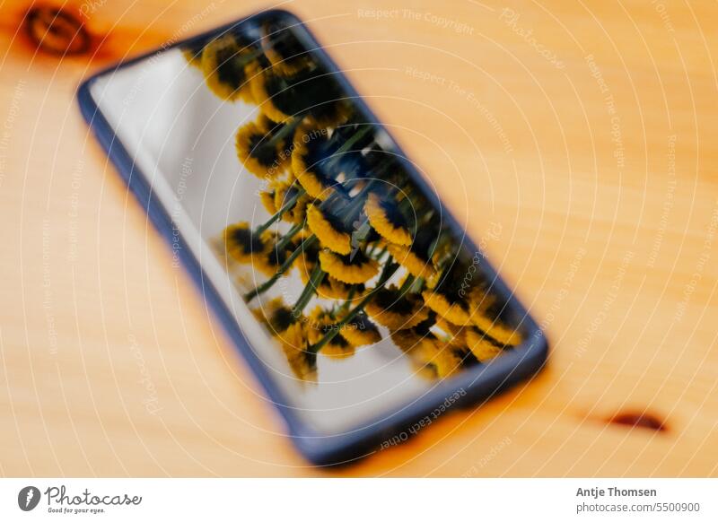 Spiegelung eines gelben Blumenstraußes im Display eines Smartphones Handyspiegelung Stillleben