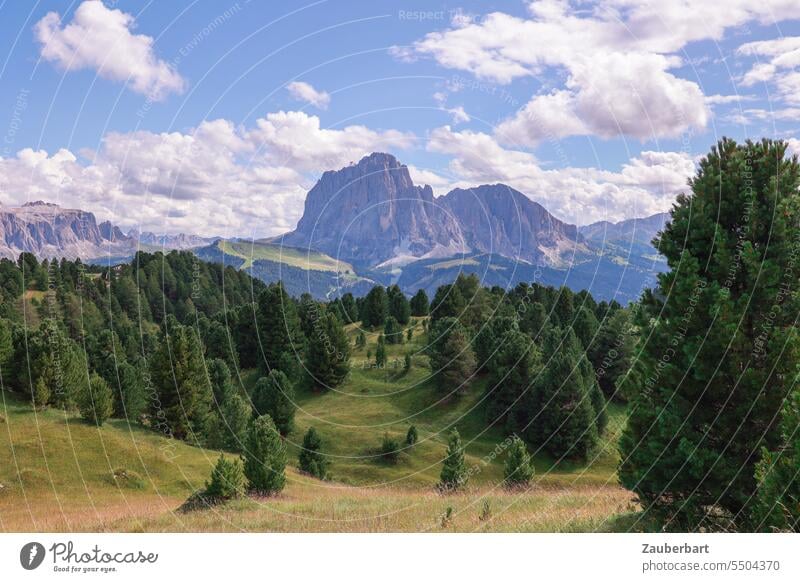 Bergpanorama, grüne Wiese mit Bäumen, Himmel mit Wolken Alpen Panorama Gipfel Landschaft Südtirol wandern wanderlust Wandertag Aussicht Berge u. Gebirge Natur
